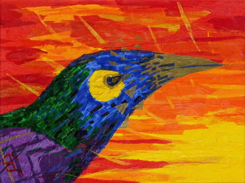 Grackle At Sunset